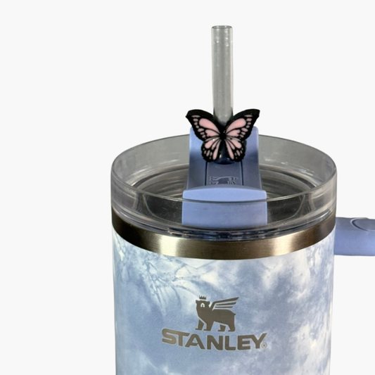 Straw ButterFly Charms Accesories